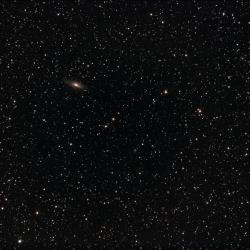 NGC7331_QDS_Galaxies_Vierge_600mm