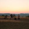 dernier_clin_d_oeil_soleil