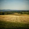 Paysage_Bastberg