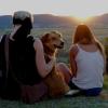 Dog_Twillight