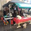 Stand_Espérance_Ours_Blanc_Philippe1_2